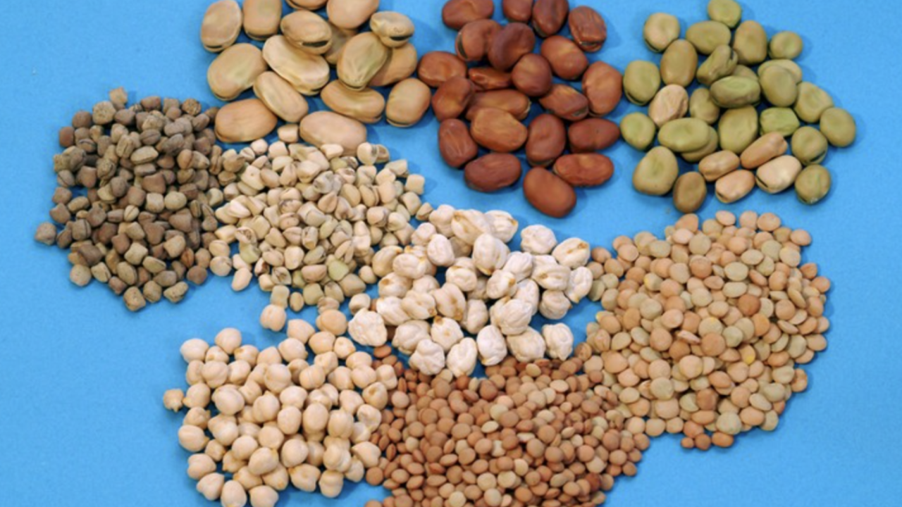 "Seeds" by ICARDA - Science for Resilient Livelihoods in Dry is licensed under CC BY-NC-ND 2.0.